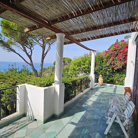 Amazing Villa Seafront On Circeo Mountain San Felice Circeo Exterior photo