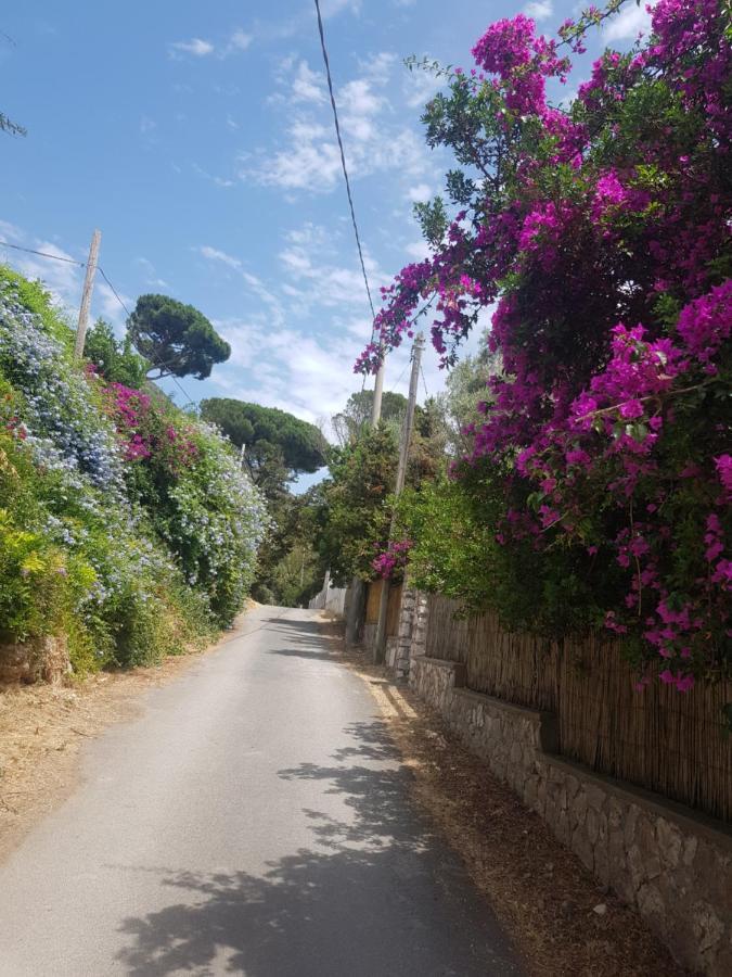 Amazing Villa Seafront On Circeo Mountain San Felice Circeo Exterior photo